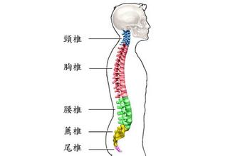 得了强直性脊柱炎都需要做哪些检查 得了强直性脊柱炎都需要做哪些检查