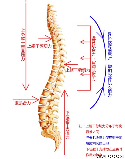 郑州风湿病强直治疗专业推荐: 的检查强直性脊柱炎的方法 郑州风湿病强直治疗专业推荐: 的检查强直性脊柱炎的方法