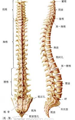 怎么治疗强直性脊柱炎效果好 怎么治疗强直性脊柱炎效果好