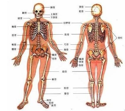 强直性脊柱炎好治疗方法是什么 强直性脊柱炎好治疗方法是什么