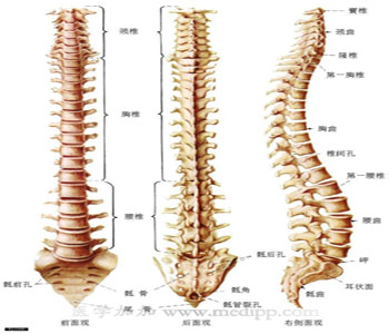 强直性脊柱炎如何检测脊柱出现问题 强直性脊柱炎如何检测脊柱出现问题