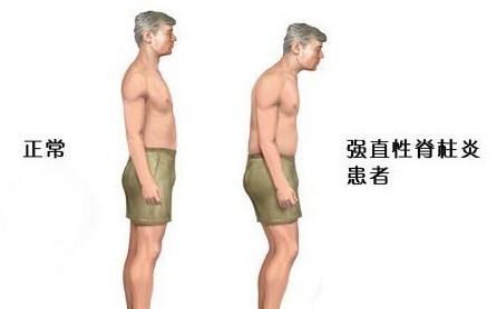 ȲʹУǿֱԼ׵ԭ