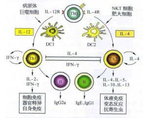 ϸ-17ǿֱԼ֢γе