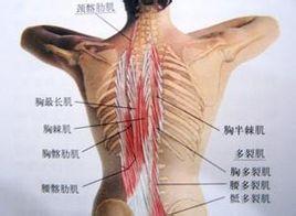 强直性脊柱炎的早期症状是什么? 强直性脊柱炎的早期症状是什么?